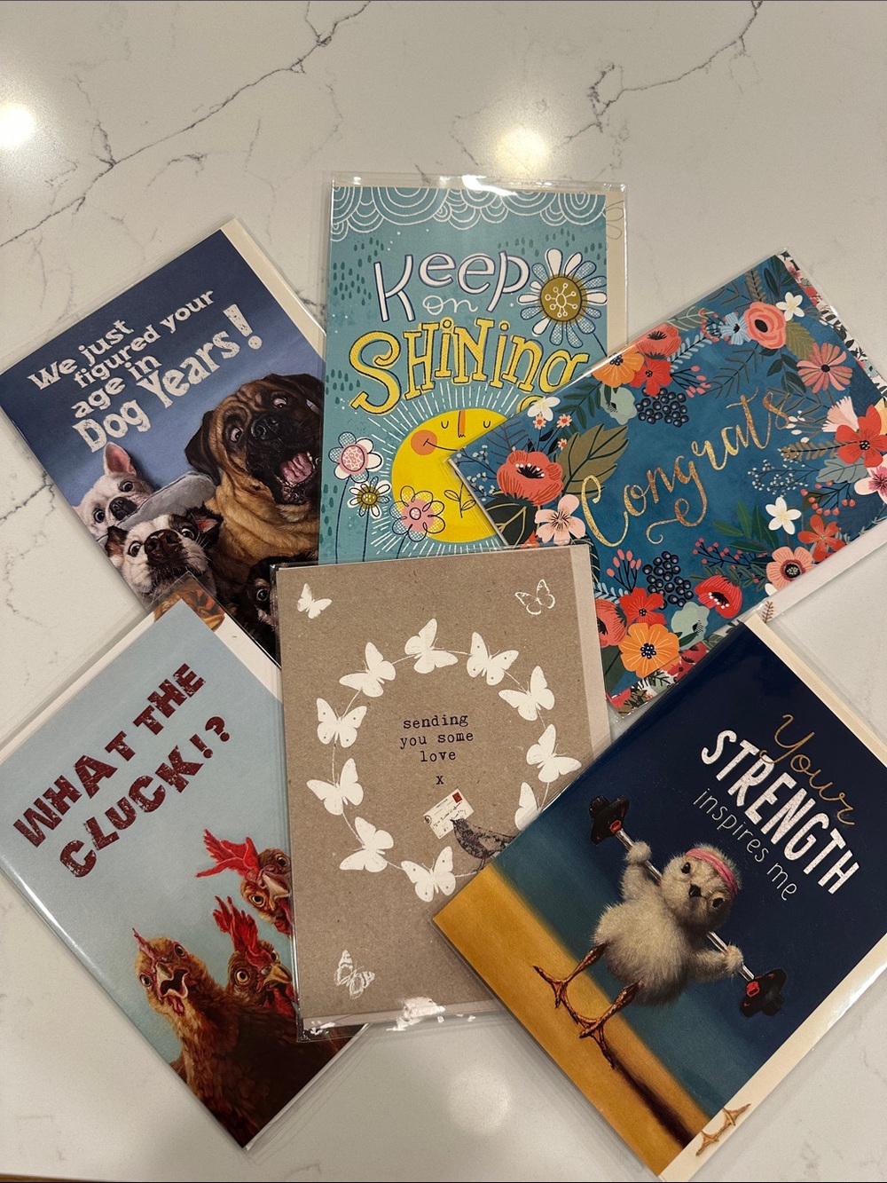 NWT Assorted Floral and Illustrated Greeting Cards Bundle